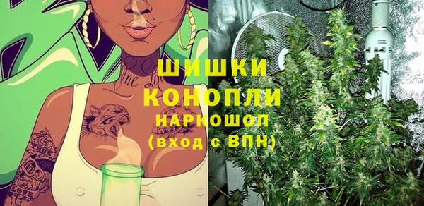 прущие грибы Армянск