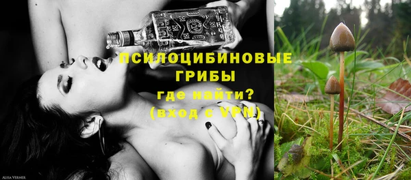 прущие грибы Армянск