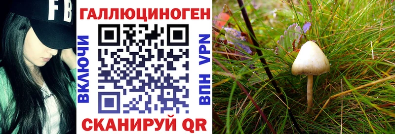 Купить закладки  Сусуман  Псилоцибиновые грибы прущие грибы 